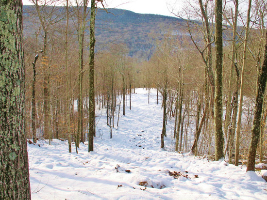 Frost Valley